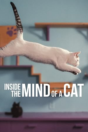 Inside the Mind of a Cat (2022) คิดแบบแมวๆ